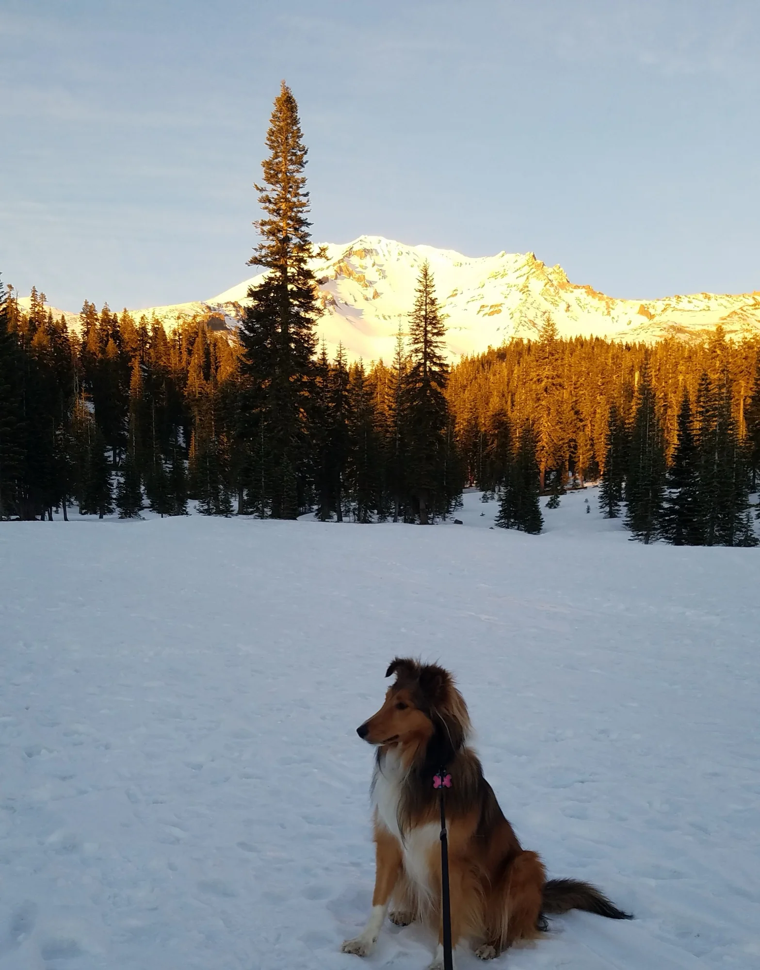 Ellie sitting in the snow below a mountain peak lit by alpenglow